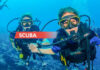 Unde poti face scuba diving in Romania | centre scufundari, cursuri si magazine Unde poti face scuba diving in Romania | centre scufundari, cursuri si magazine